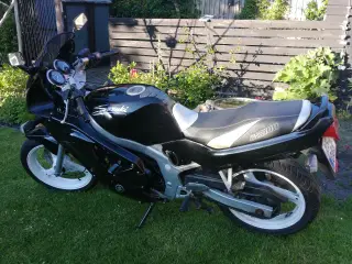 Suzuki Gs 500