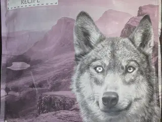 Wolf of wilderness, 12 kg