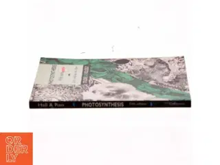 Photosynthesis (Bog)