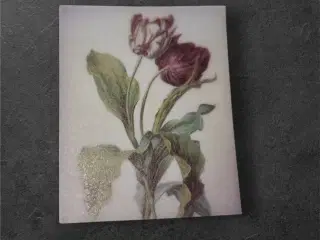 Papirark med botaniske tulipaner i bordeaux Gør di