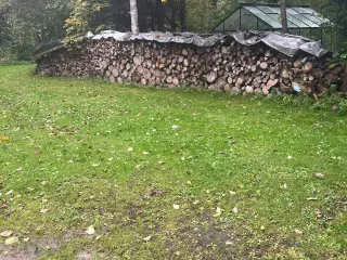 Brænde løvtræ tørt 