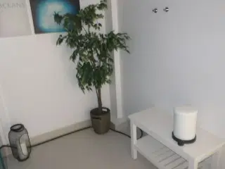 Reoler / planter m.m.