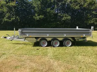 STEMA TRIUS 354020.3