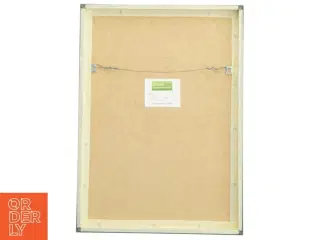 Indrammet billede af et træ fra Posterland (str. 29,8x42 cm)