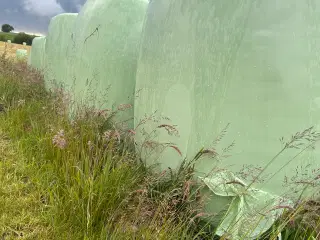 Wrap