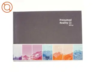 Presumed reality : Ebbe Stub Wittrup af Gitte Broeng (Bog)