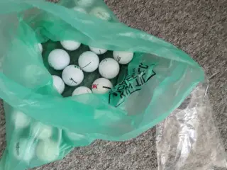 Golfbolde