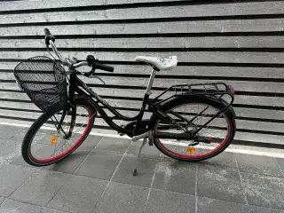 24” Pigecykel