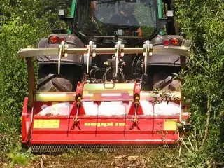 Seppi Midi-Forst DT 250 cm