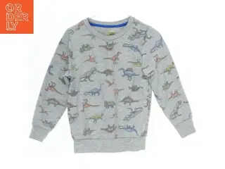 Børne sweatshirt med dinosaur print (str. 116)