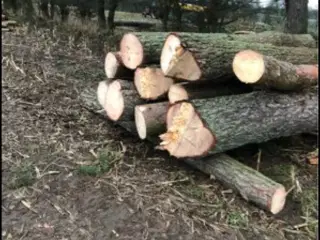 Fyr træ 3 meter stykker