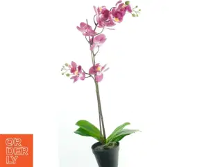 Kunstig orkidé i potte fra IKEA (str. 69 cm)
