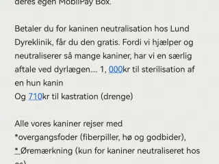 Kanin Internat / Shelter / Rescue