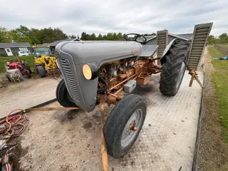 Ferguson 35 Guldfugl