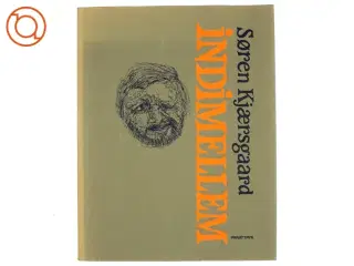 Indimellem af Søren Kjærsgaard (bog)