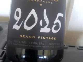 Champagne Moet og Chandon 2015