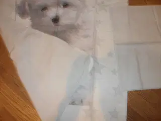 Baby sengesæt med hund