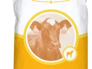 Mælkeerstaning gul fra linds