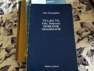 Teologibøger