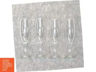 Champagneglas (str. 21 x 7 cm)