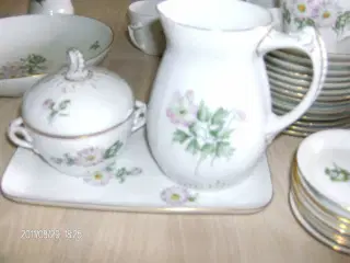 Crysantemum fra B&G 