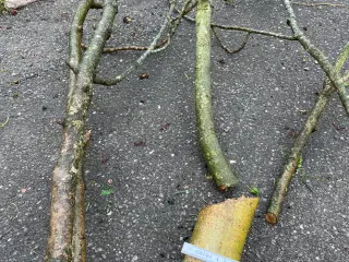 Udlejning af flishugger