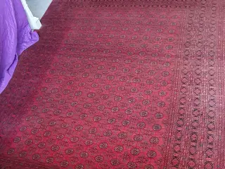 Tæppe	