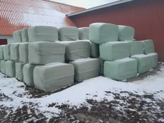 Wraphø sælges på Østfyn 