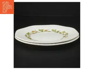 Decorerede porcelænstallerkener fra Avafenixco Limoges POMPEYA (str. Ø. 18 cm. 2 styk)