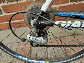 Pæn Giant racer cykel