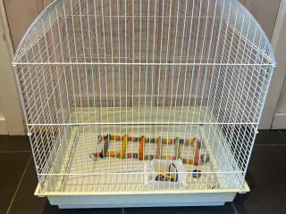 Fuglebur m foderskåle og legetøj