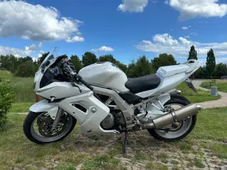 Suzuki SV1000S – V2 kraft med sjæl