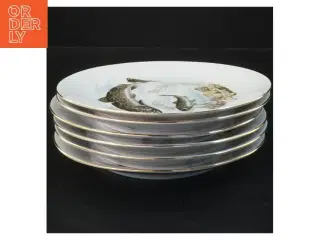 Tallerkener med fiskemotiv (str. Ø 19 cm)