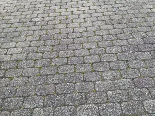 Holmegårdssten, str. 21x14x5 1/2 cm 