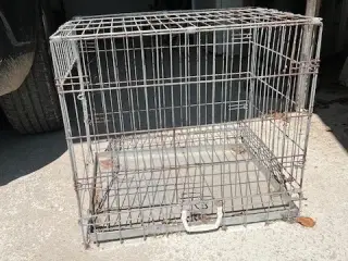 Transport bur