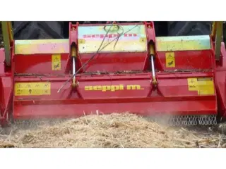 Seppi Midi-Forst 175 cm
