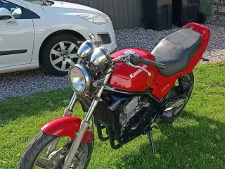 Fin Kawasaki er5 