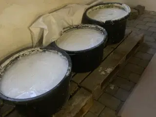 Kalk læsket kulekalk