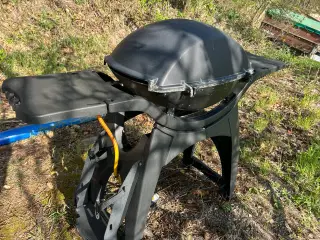 Weber 300 grill