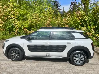 Citroen C4 Cactus m/ Panoramatag 