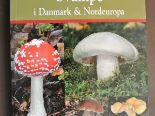 en naturhåndbog til svampe i danmark og nordeuropa