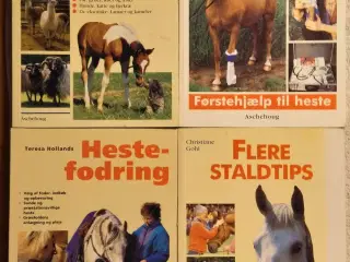 5 stk. Hestebøger