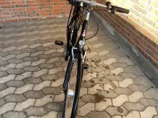 Herrer cykler med syv gear 
