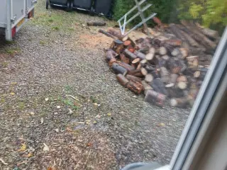 Askebrænde savet og kløvet 25-30 cm stykker