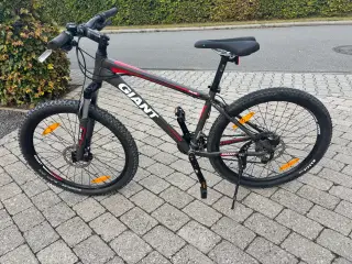 Men Giant cykel