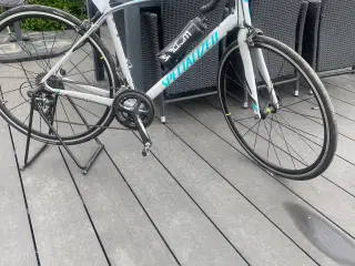  Racer cykel Specialized Dolce Elite, 57 cm stel, 
