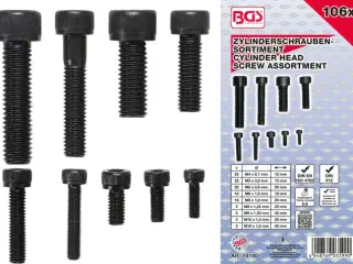 BGS Cylinderskruesortiment 6kt. 4-5-6-8-10mm. 106 dele