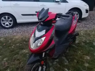 Texas chilli 30kmt lovlig 