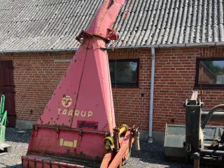 Grønthøster 