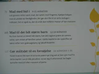 mad til småfolk - en sund start på livet, af karen